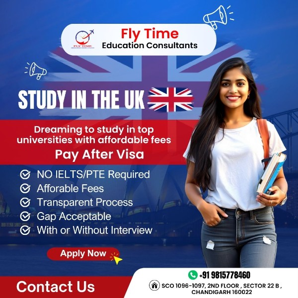 Wireless Earbuds Pro